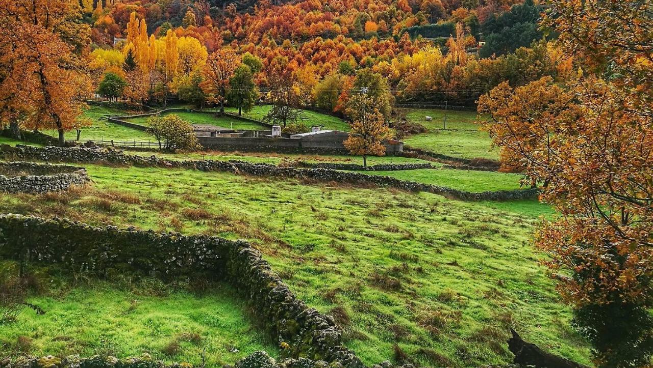 Aroma De Primavera En Casas Rurales Acebuche Casas del Monte Extérieur photo