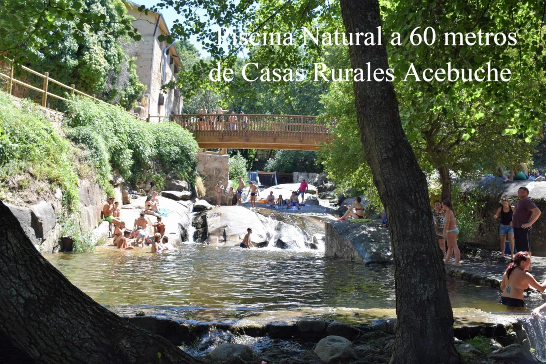 Aroma De Primavera En Casas Rurales Acebuche Casas del Monte Extérieur photo