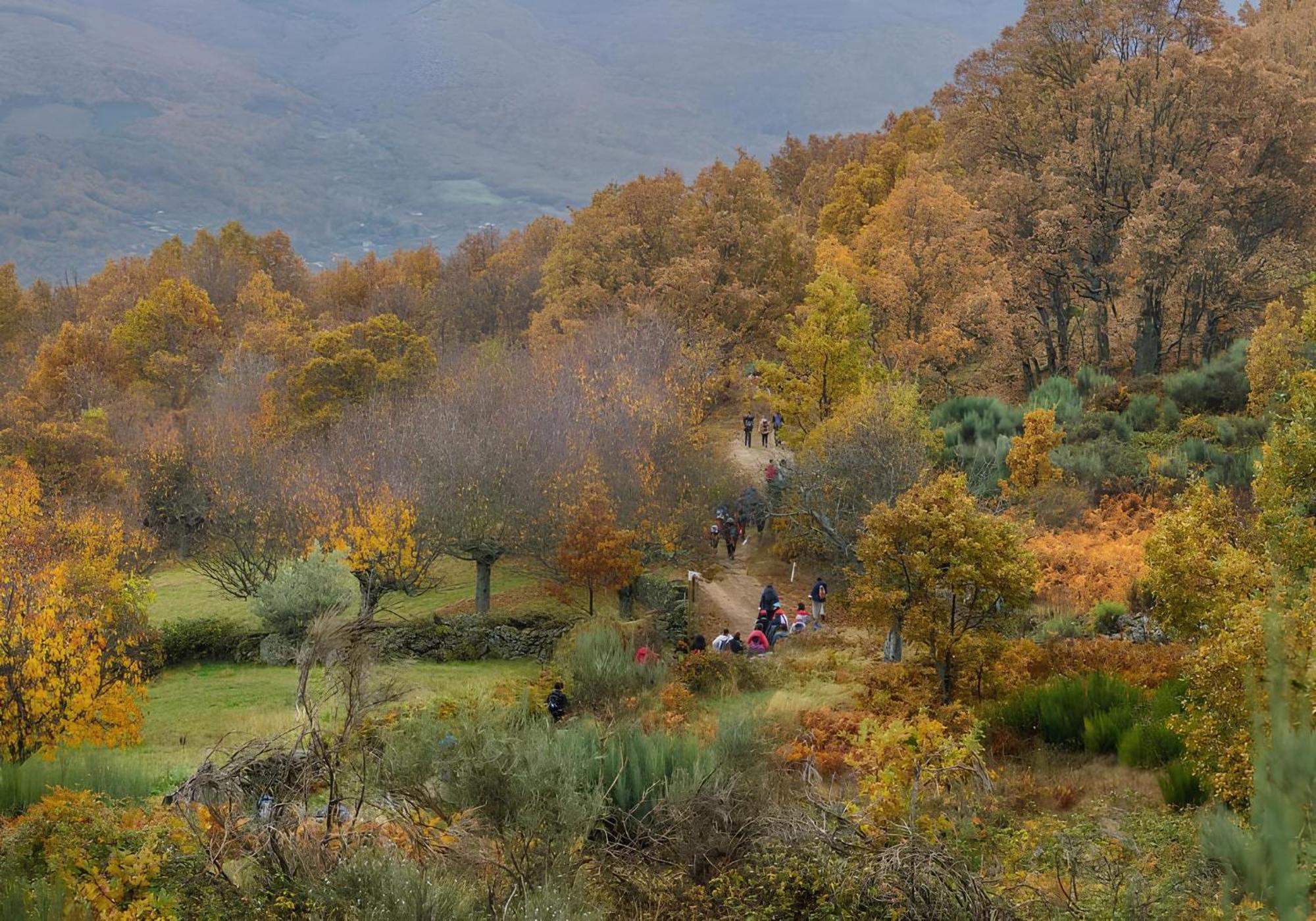 Aroma De Primavera En Casas Rurales Acebuche Casas del Monte Extérieur photo